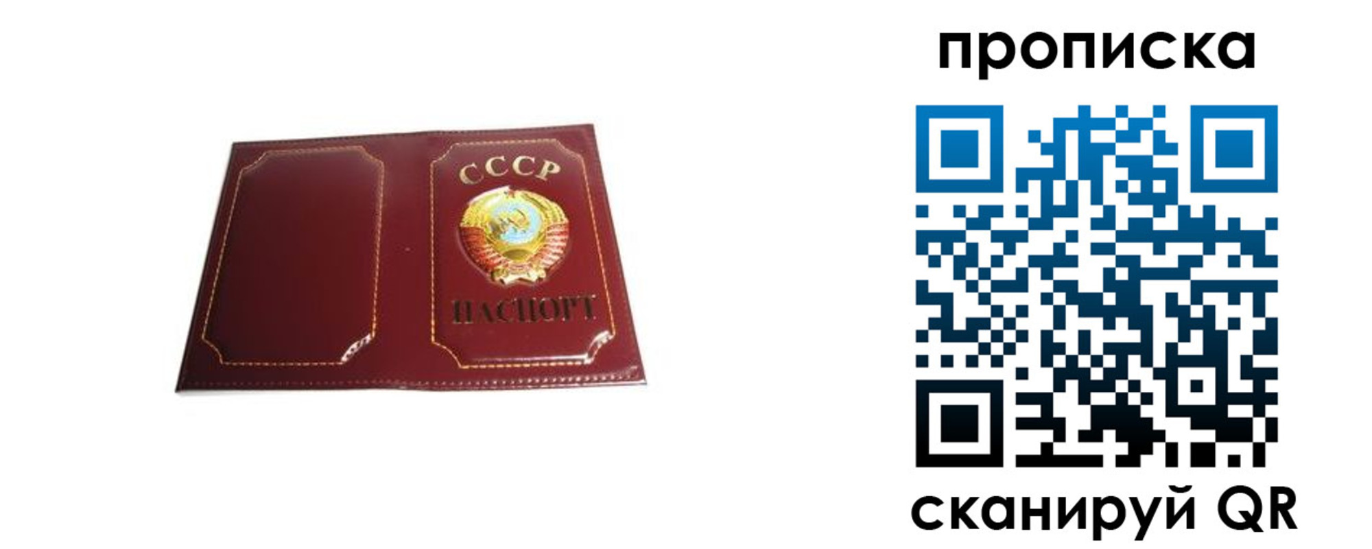 прописка гарантия в Электроуглях